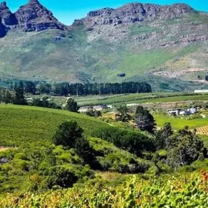 Explore The Garden Route 10 Days for 10 days with Encounters Travel and discover unforgettable experiences - Photo 7