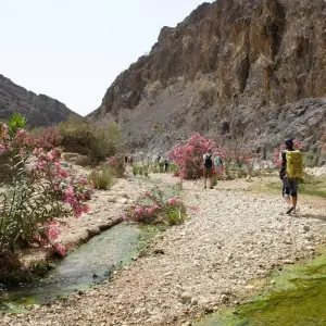 Explore Jordan Encounters for 9 days with Encounters Travel and discover unforgettable experiences - Photo 8