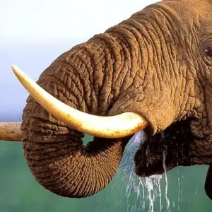 Explore The Garden Route - 8 days for 8 days with Encounters Travel and discover unforgettable experiences - Photo 11