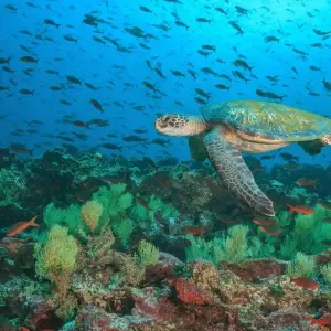 Explore Best of the Galapagos for 7 days with Encounters Travel and discover unforgettable experiences - Photo 3