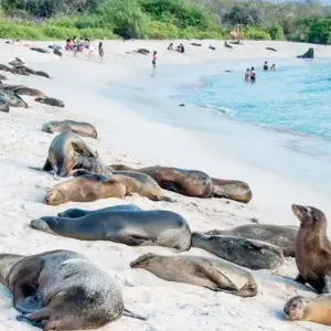Explore Galapagos Essentials for 7 days with Encounters Travel and discover unforgettable experiences - Photo 4