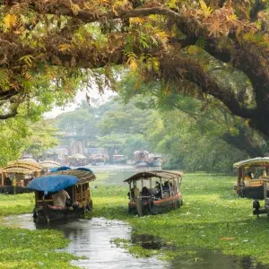 Explore Kerala Backwaters & Hillstations for 9 days with Encounters Travel and discover unforgettable experiences - Photo 2
