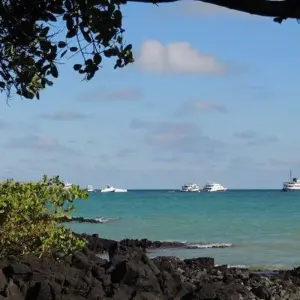 Explore Galapagos Essentials for 7 days with Encounters Travel and discover unforgettable experiences - Photo 6