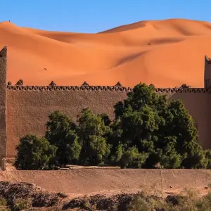 Explore MARRAKECH to MARRAKECH (8 days) Marrakech and Saha for 8 days with Encounters Travel and discover unforgettable experiences - Photo 4
