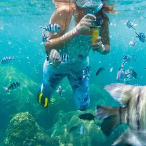 Explore Best of the Galapagos for 7 days with Encounters Travel and discover unforgettable experiences - Photo 6