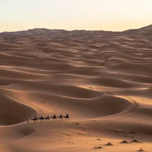 Explore MARRAKECH to MARRAKECH (9 days) Souks & Sand Dunes for 9 days with Encounters Travel and discover unforgettable experiences - Photo 6