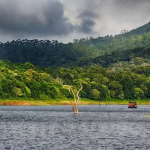 Explore Kerala Backwaters & Hillstations for 9 days with Encounters Travel and discover unforgettable experiences - Photo 6