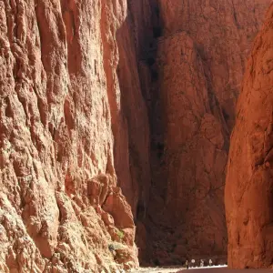 Explore MARRAKECH to MARRAKECH (8 days) Marrakech and Saha for 8 days with Encounters Travel and discover unforgettable experiences - Photo 8