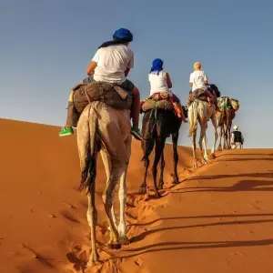Explore MARRAKECH to MARRAKECH (9 days) Souks & Sand Dunes for 9 days with Encounters Travel and discover unforgettable experiences - Photo 9