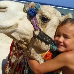 Explore Egyptian Family Adventure for 12 days with Encounters Travel and discover unforgettable experiences - Photo 2