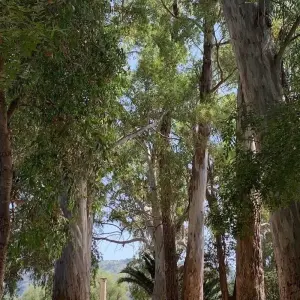 Explore 3 Days Long Weekend Tour Highlights of Albania for 3 days with Enjoy Travel and Tours and discover unforgettable experiences - Photo 6