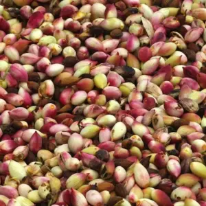 Explore Saronic island hopping + Peloponnese for 6 days with Epos Travel & Tours and discover unforgettable experiences - Photo 4