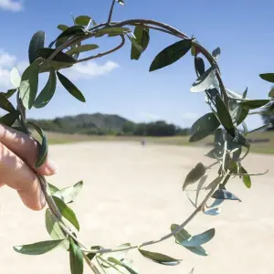 Explore Tracing the Steps of Hercules in the Peloponnese 7 days for 7 days with Epos Travel & Tours and discover unforgettable experiences - Photo 6