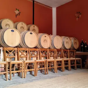 Explore Peloponnese Wine Roads - 4 Days Private, guided, history, culinary for 4 days with Epos Travel & Tours and discover unforgettable experiences - Photo 3