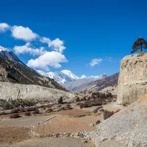 Explore Annapurna Circut Trek for 14 days with Escape Himalaya Trek and discover unforgettable experiences - Photo 3