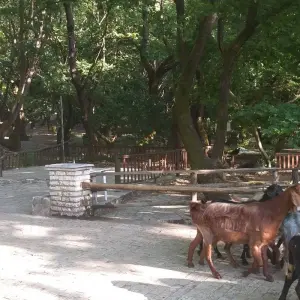 Explore Christianity journeys in Greece – On the road with Apostle Paul - 12 Days for 12 days with Epos Travel & Tours and discover unforgettable experiences - Photo 6