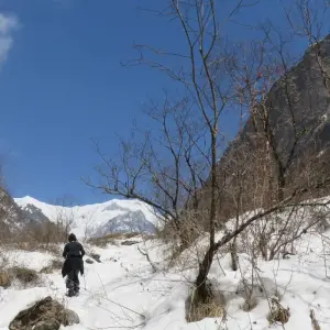 Explore Annapurna Circut Trek for 14 days with Escape Himalaya Trek and discover unforgettable experiences - Photo 8