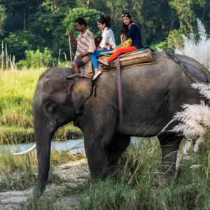 Explore Chitwan Jungle Safari Tour for 3 days with Escape Himalaya Trek and discover unforgettable experiences - Photo 6