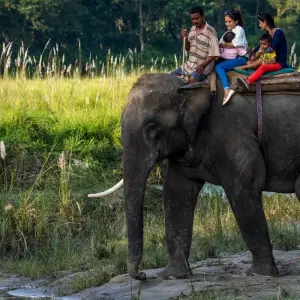 Explore Chitwan Jungle Safari Tour for 3 days with Escape Himalaya Trek and discover unforgettable experiences - Photo 8