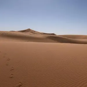 Explore 5 Days Sahara Desert Tour From Marrakech to Fes, Morocco for 5 days with Escorted Morocco Tours and discover unforgettable experiences - Photo 2