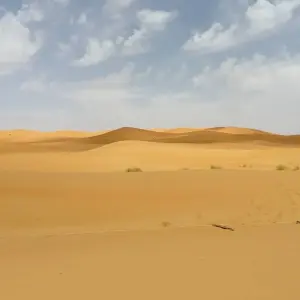 Explore 5 Days Sahara Desert Tour From Marrakech to Fes, Morocco for 5 days with Escorted Morocco Tours and discover unforgettable experiences - Photo 3