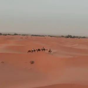 Explore Explore Merzouga Desert: A 3-Day, 2-Night Adventure for 3 days with Escorted Morocco Tours and discover unforgettable experiences - Photo 3