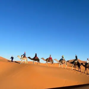 Explore 5 Days Morocco Desert Tour From Fes to Marrakesh, Morocco for 5 days with Escorted Morocco Tours and discover unforgettable experiences - Photo 5