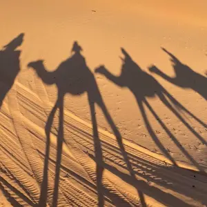 Explore 11 Days Ideal Guided Tour - Casablanca to Marrakech for 11 days with Escorted Morocco Tours and discover unforgettable experiences - Photo 3