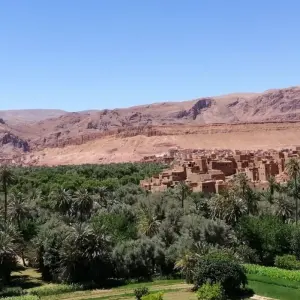 Explore 7 Days Morocco Desert Tour from Casablanca to Marrakesh for 7 days with Escorted Morocco Tours and discover unforgettable experiences - Photo 3