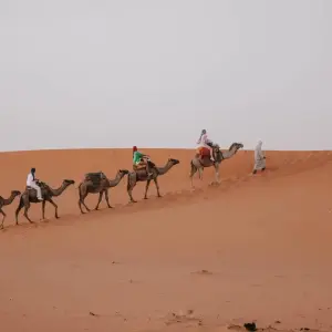 Explore 3-Day, 2-Night Camp Adventure from Fes to Marrakech for 3 days with Escorted Morocco Tours and discover unforgettable experiences - Photo 7