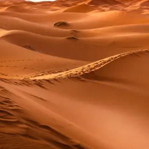 Explore 3 Day Sahara Tour - Marrakech to Fes via Merzouga, Morocco for 3 days with Escorted Morocco Tours and discover unforgettable experiences - Photo 9