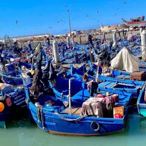 Explore 8 Days Desert - Coastal Guided Tour - From Fes to Casablanca for 8 days with Escorted Morocco Tours and discover unforgettable experiences - Photo 6