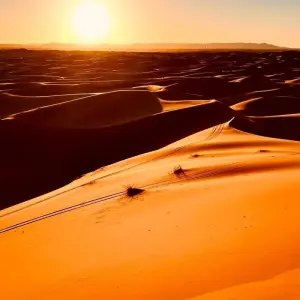 Explore 6 Days Sahara Desert Tour from Fes to Marrakesh, Morocco for 6 days with Escorted Morocco Tours and discover unforgettable experiences - Photo 8