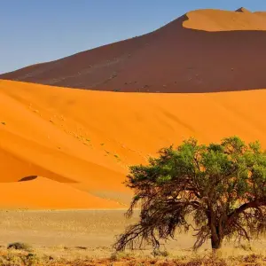 Explore 3-Day, 2-Night Camp Adventure from Fes to Marrakech for 3 days with Escorted Morocco Tours and discover unforgettable experiences - Photo 9