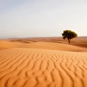 Explore 3 Day Sahara Tour - Marrakech to Fes via Merzouga, Morocco for 3 days with Escorted Morocco Tours and discover unforgettable experiences - Photo 11