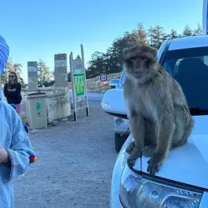 Explore 8 Days Imperial Sahara Desert Tour From Marrakesh to Tangier for 8 days with Escorted Morocco Tours and discover unforgettable experiences - Photo 11