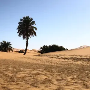 Explore Explore Merzouga Desert: A 3-Day, 2-Night Adventure for 3 days with Escorted Morocco Tours and discover unforgettable experiences - Photo 10