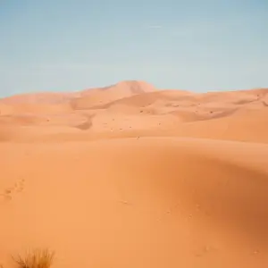 Explore 7 Days Morocco Desert Tour from Casablanca to Marrakesh for 7 days with Escorted Morocco Tours and discover unforgettable experiences - Photo 8