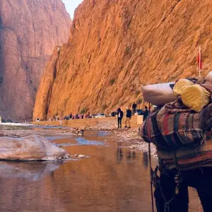 Explore 6 Days Sahara Desert Tour from Fes to Marrakesh, Morocco for 6 days with Escorted Morocco Tours and discover unforgettable experiences - Photo 11