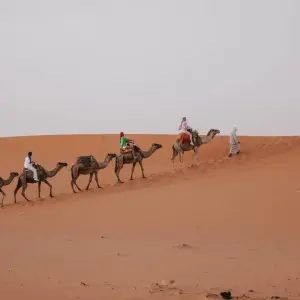 Explore 5 days Morocco Sahara Desert Tour from Marrakech to Fes for 5 days with Escorted Morocco Tours and discover unforgettable experiences - Photo 2