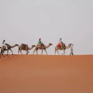 Explore 5 Days Morocco Desert Tour From Fes to Marrakesh, Morocco for 5 days with Escorted Morocco Tours and discover unforgettable experiences - Photo 11