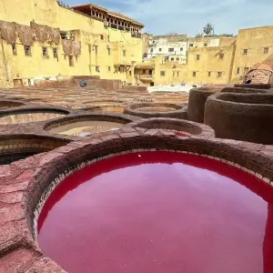 Explore 7 Days Morocco Sahara Desert Tour From Tangier to Marrakesh for 7 days with Escorted Morocco Tours and discover unforgettable experiences - Photo 5