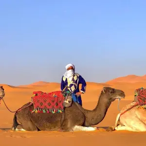 Explore 13 Days Supreme Guided Tour from Casablanca - Morocco for 13 days with Escorted Morocco Tours and discover unforgettable experiences - Photo 11