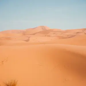 Explore 5 days Morocco Sahara Desert Tour from Marrakech to Fes for 5 days with Escorted Morocco Tours and discover unforgettable experiences - Photo 6