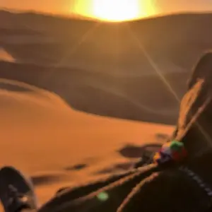 Explore 5 days Morocco Sahara Desert Tour from Marrakech to Fes for 5 days with Escorted Morocco Tours and discover unforgettable experiences - Photo 7