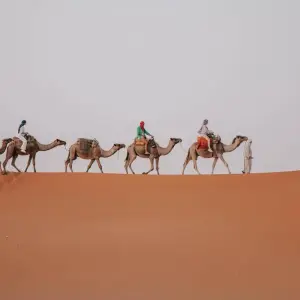 Explore Sahara Desert Luxury Camp Tour for 5 days with Escorted Morocco Tours and discover unforgettable experiences - Photo 8
