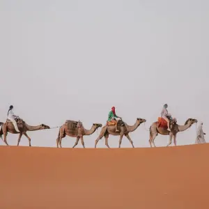 Explore 6 Days Group Morocco Tour from Casablanca to Marrakech for 6 days with Escorted Morocco Tours and discover unforgettable experiences - Photo 9