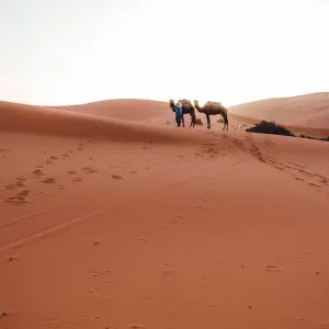 Explore Sahara Desert Trekking Tour & Wild Camping for 6 days with Escorted Morocco Tours and discover unforgettable experiences - Photo 10