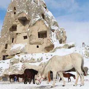 Explore Flavours of Turkey and Greece -II- for 9 days with Eskapas and discover unforgettable experiences - Photo 4