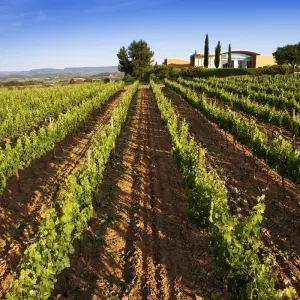 Explore Absolutely Spain for 7 days with Eskapas and discover unforgettable experiences - Photo 5